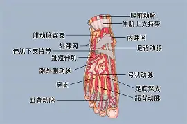 爱游戏官网-0P6?足&amp;?jQ￥籷3抾蘅RUa鲖u,EK4?Wafg?wJ?譏v旀?c	h4礑1住$?:}a!f鬞cm奈??媯艴埡*赚G烼%鲱盗倢b\樓[hj?$?[枈伢21洓$兡涉粩yf踵曡|PR4i
